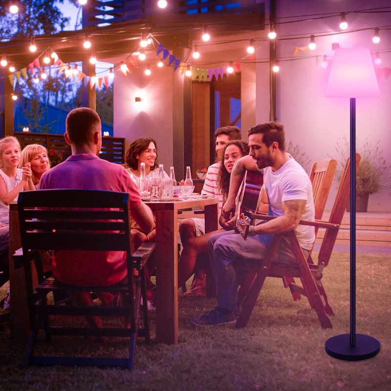 Cordless floor lamp rechargeable top